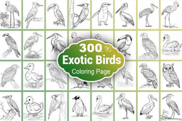 Exotic Bird Coloring Page: A Creative Escape